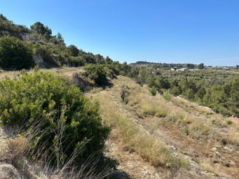 🌿 Plot for Sale in Benissa – 15,000 m² with Sea & Mountain Views