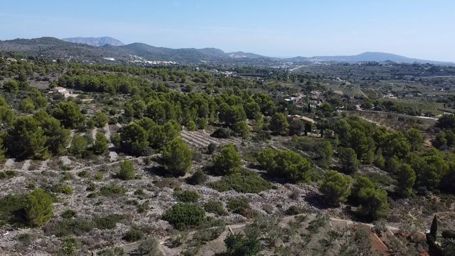 🌿 Plot for Sale in Benissa – 33,673 m² with Sea & Peñón Views