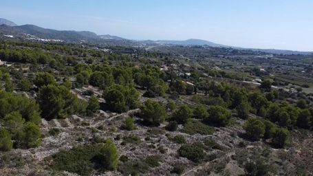 🌿 Plot for Sale in Benissa – 33,673 m² with Sea & Peñón Views