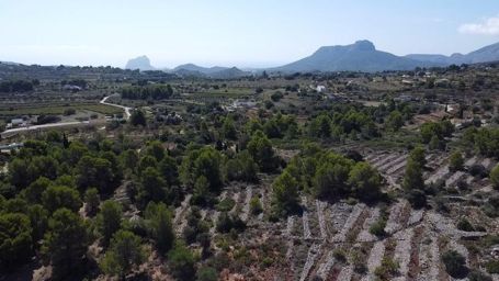 🌿 Plot for Sale in Benissa – 33,673 m² with Sea & Peñón Views