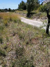 Terrain rustique à Calpe