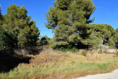Plot for sale near the village