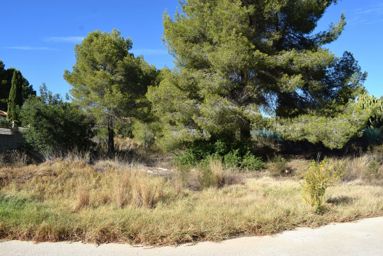 Plot for sale near the village