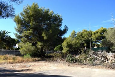 Plot for sale near the village