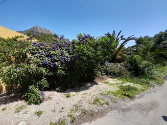 TERRENOS MARYVILLA