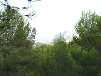 For Sale. Rustic plot in Benissa